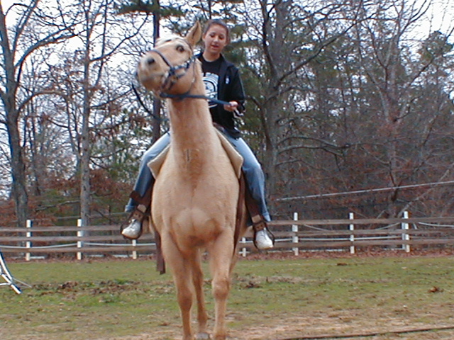 Fancy Trails Farm