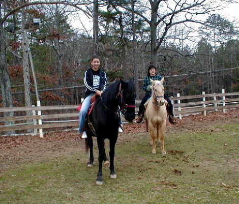 Fancy Trails Farm