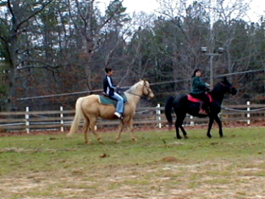 Fancy Trails Farm