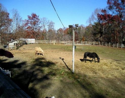 Fancy Trails Farm