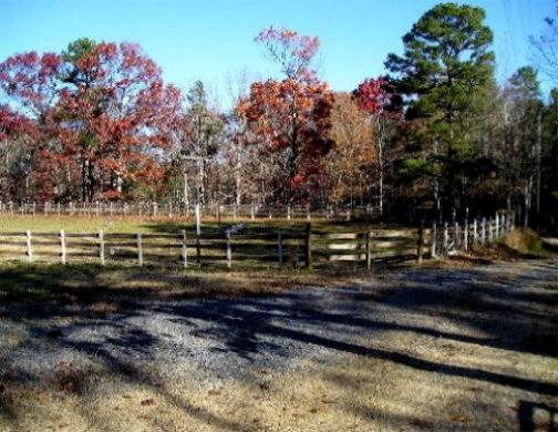 Fancy Trails Farm