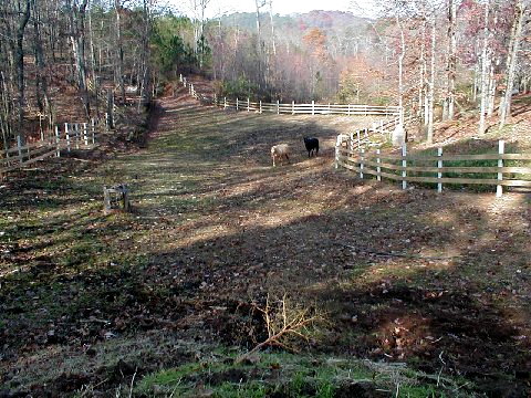 Fancy Trails Farm