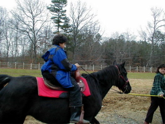 Fancy Trails Farm