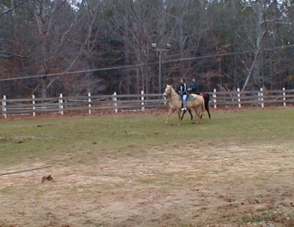 Fancy Trails Farm